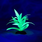 Растение искусственное аквариумное, светящееся, 10 см, зелёное - Фото 5