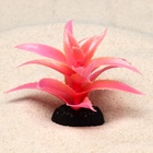 Растение для аквариума и террариума, светящееся, 10 см, красное - Фото 3