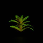 Растение искусственное аквариумное, светящееся, 10 см, красное - Фото 4