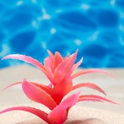 Растение для аквариума и террариума, светящееся, 10 см, красное - Фото 4