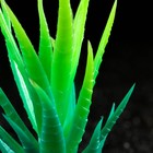 Растение искусственное аквариумное, светящееся, 10 см, зелёное - фото 6592419