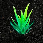 Растение искусственное аквариумное, светящееся, 10 см, зелёное - Фото 3