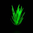 Растение искусственное аквариумное, светящееся, 10 см, зелёное - фото 6592421