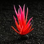 Растение искусственное аквариумное, светящееся, 10 см, красное - фото 6592425