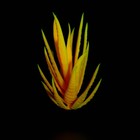 Растение искусственное аквариумное, светящееся, 10 см, красное - фото 6592426