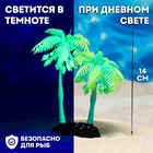 Растение искусственное аквариумное "Пальма", светящееся, 14 см, зелёное - Фото 1