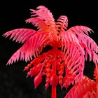 Растение искусственное аквариумное "Пальма", светящееся, 14 см, красное - фото 6592434