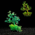 Растение искусственное аквариумное, светящееся, 10 см, зелёное - фото 6592438