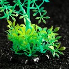 Растение искусственное аквариумное, светящееся, 10 см, зелёное - фото 6592439
