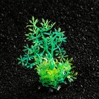 Растение искусственное аквариумное, светящееся, 10 см, зелёное - фото 6592440