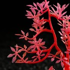 Растение искусственное аквариумное, светящееся, 10 см, красное - Фото 2
