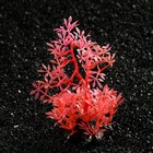 Растение искусственное аквариумное, светящееся, 10 см, красное - Фото 3