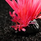 Растение искусственное аквариумное, светящееся, 10 см, красное - Фото 2