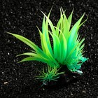 Растение искусственное аквариумное, светящееся, 10 см, зелёное - фото 6592456