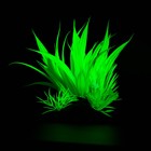 Растение искусственное аквариумное, светящееся, 10 см, зелёное - фото 6592457