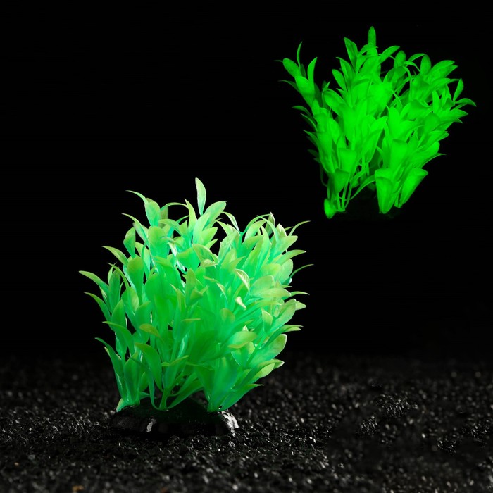 Растение искусственное аквариумное, светящееся, 10 см, зелёное - Фото 1