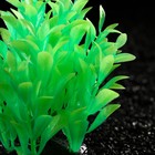 Растение искусственное аквариумное, светящееся, 10 см, зелёное - фото 6592460