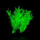 Растение искусственное аквариумное, светящееся, 10 см, зелёное - фото 6592462