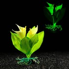 Растение искусственное аквариумное, светящееся, 10 см, зелёное - Фото 1