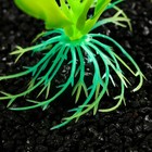 Растение искусственное аквариумное, светящееся, 10 см, зелёное - фото 6592467