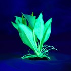 Растение искусственное аквариумное, светящееся, 10 см, зелёное - фото 21573839