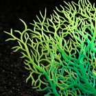 Растение искусственное аквариумное, светящееся, 15 см, зелёное - Фото 2