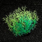 Растение искусственное аквариумное, светящееся, 15 см, зелёное - Фото 3