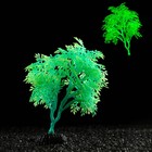 Растение искусственное аквариумное, светящееся, 15 см, зелёное - фото 10230150