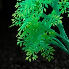 Растение искусственное аквариумное, светящееся, 15 см, зелёное - фото 10230151