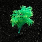 Растение искусственное аквариумное, светящееся, 15 см, зелёное - фото 10230152