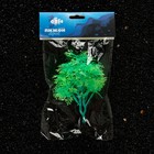 Растение искусственное аквариумное, светящееся, 15 см, зелёное - фото 10230154