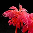 Растение искусственное аквариумное "Пальма", светящееся, 18 см, красное - фото 10230162
