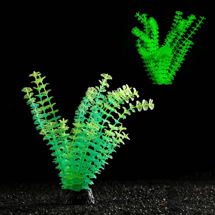 Растение искусственное аквариумное, светящееся, 18 см, зелёное - Фото 1