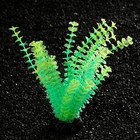 Растение искусственное аквариумное, светящееся, 18 см, зелёное - фото 10230167