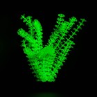 Растение искусственное аквариумное, светящееся, 18 см, зелёное - фото 10230168