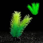 Растение искусственное аквариумное, светящееся, 8 см, зелёное - фото 2721641