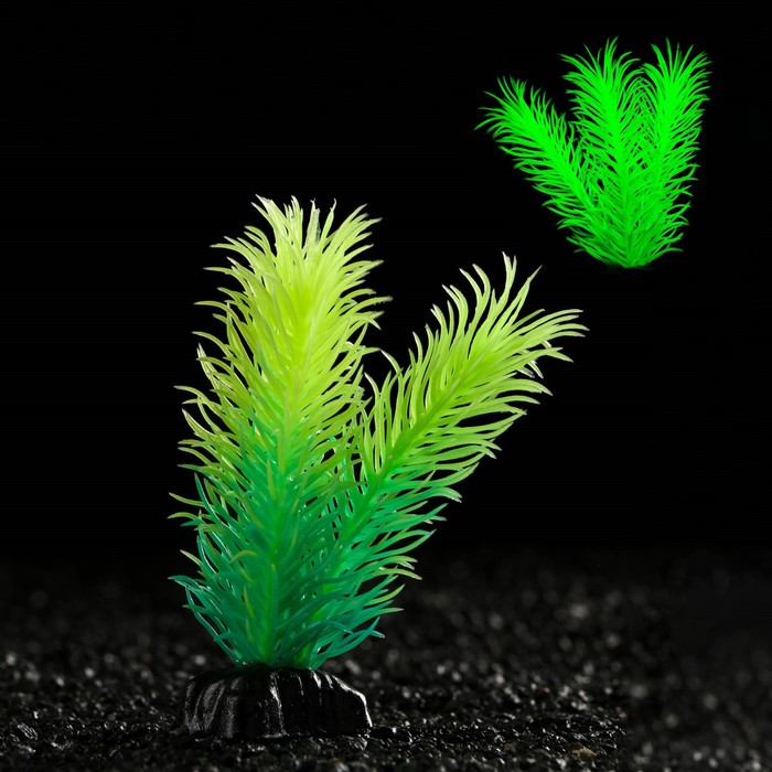 Растение искусственное аквариумное, светящееся, 8 см, зелёное - Фото 1