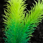 Растение искусственное аквариумное, светящееся, 8 см, зелёное - Фото 2
