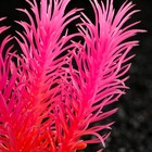 Растение искусственное аквариумное, светящееся, 8 см, красное - Фото 2