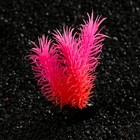 Растение искусственное аквариумное, светящееся, 8 см, красное - фото 24239215