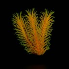 Растение искусственное аквариумное, светящееся, 8 см, красное - фото 9732401