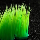 Растение искусственное аквариумное, светящееся, 9 см, зелёное - фото 6592516