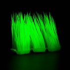 Растение искусственное аквариумное, светящееся, 9 см, зелёное - фото 6592518