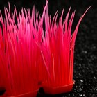 Растение искусственное аквариумное, светящееся, 9 см, красное - фото 6592521