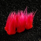 Растение искусственное аквариумное, светящееся, 9 см, красное - фото 6592522