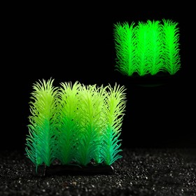 Растение искусственное аквариумное, светящееся, 5 см, зелёное