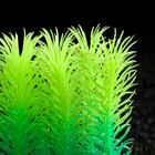Растение искусственное аквариумное, светящееся, 5 см, зелёное - фото 6592527