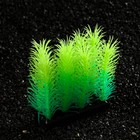 Растение искусственное аквариумное, светящееся, 5 см, зелёное - фото 6592528