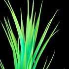 Растение искусственное аквариумное, светящееся, 30 см, зелёное - Фото 2