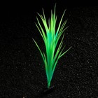 Растение искусственное аквариумное, светящееся, 30 см, зелёное - фото 6592533